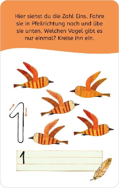 9783845856315 - Sample content