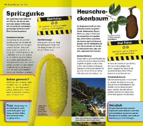 9783845856568 - Sample content