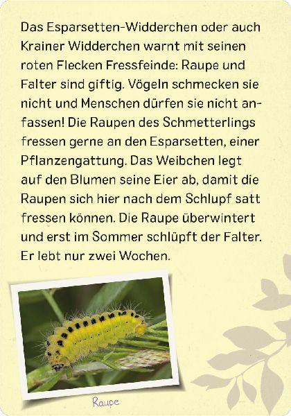 9783845856575 - Sample content