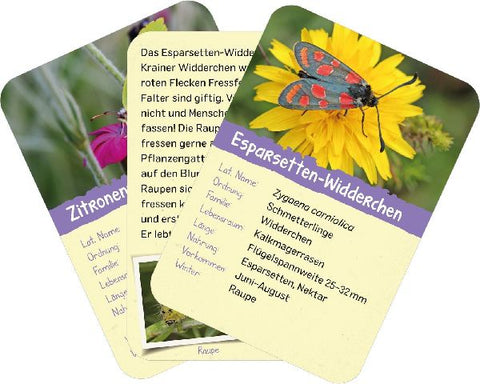 9783845856575 - Sample content