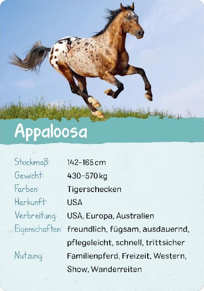 9783845856582 - Sample content