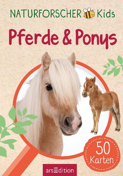 9783845856582 - Sample content