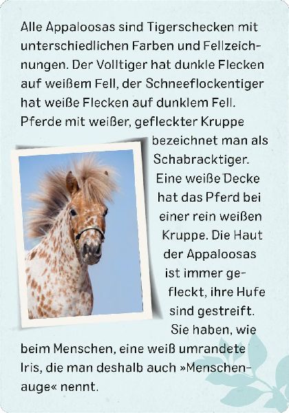 9783845856582 - Sample content