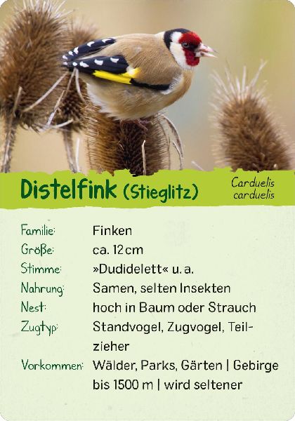 9783845856599 - Sample content