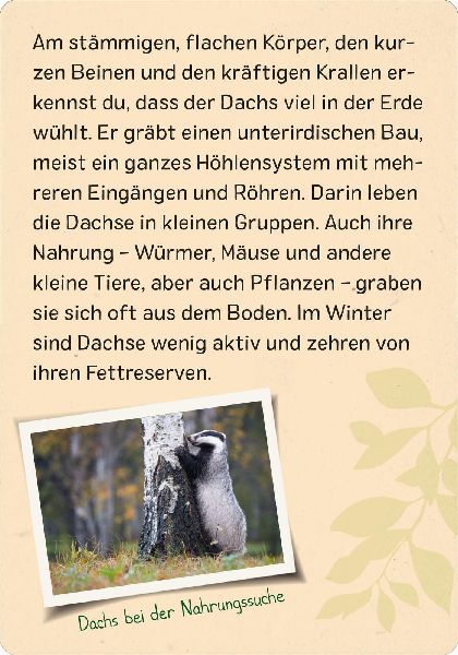 9783845856605 - Sample content