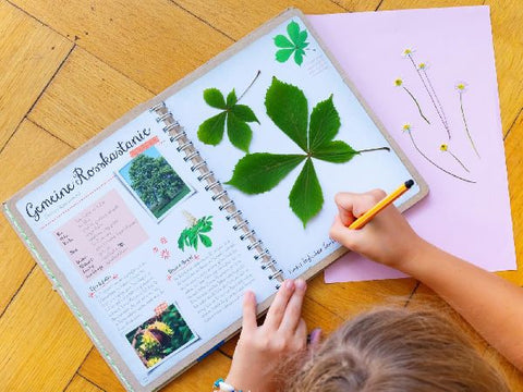 9783845856612 - Sample content