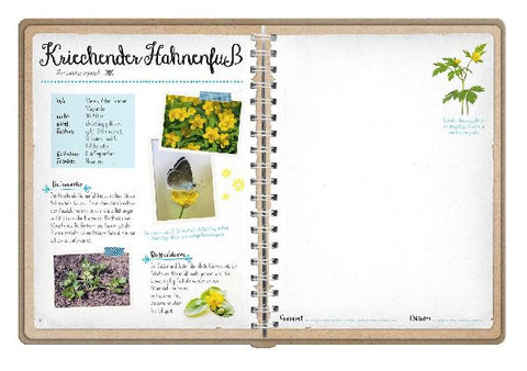 9783845856612 - Sample content