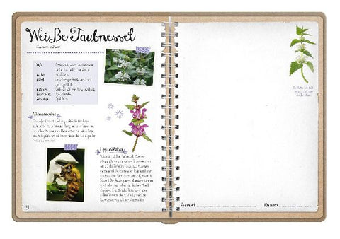 9783845856612 - Sample content