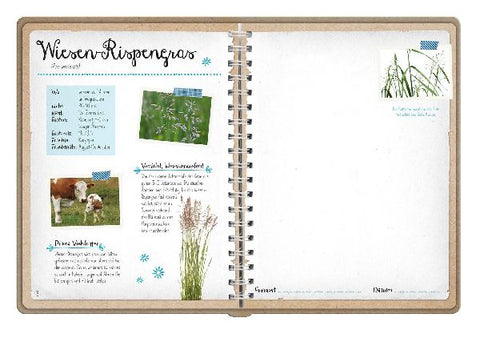 9783845856612 - Sample content