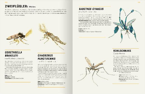 9783845857534 - Sample content