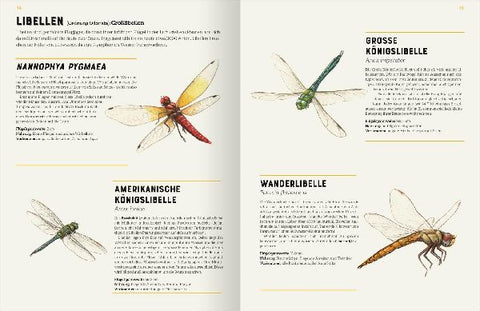 9783845857534 - Sample content