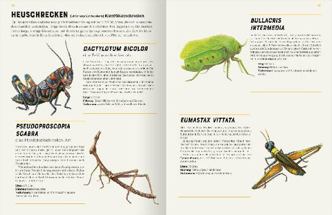 9783845857534 - Sample content