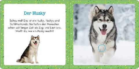 9783845858531 - Sample content