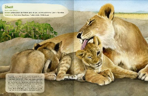 9783845858692 - Sample content