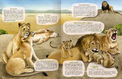 9783845858692 - Sample content