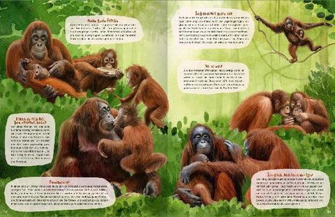 9783845858692 - Sample content