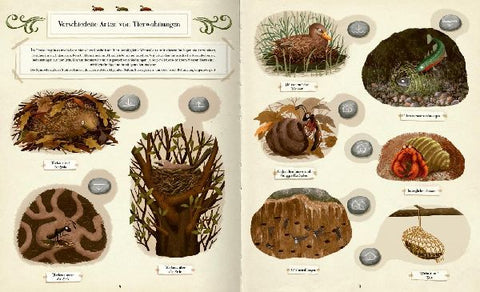 9783845859217 - Sample content