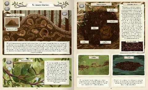 9783845859217 - Sample content