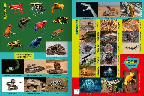 9783845859231 - Sample content