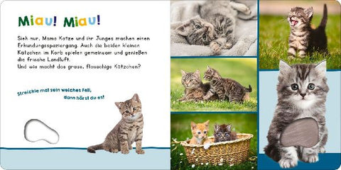 9783845859347 - Sample content