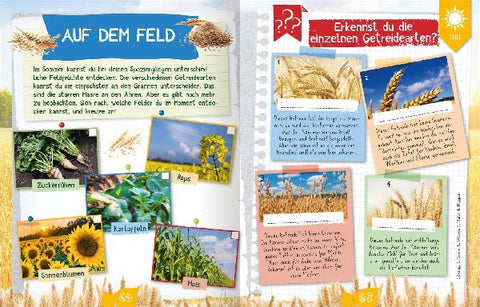 9783845860732 - Sample content