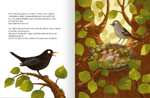 9783845861005 - Sample content