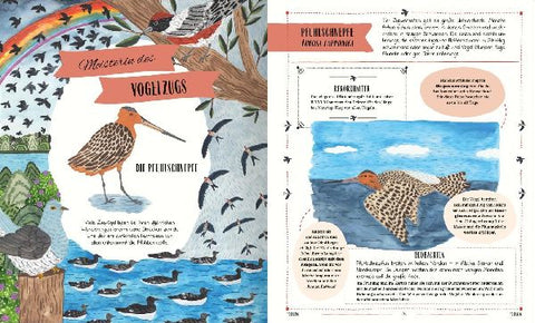 9783845861166 - Sample content