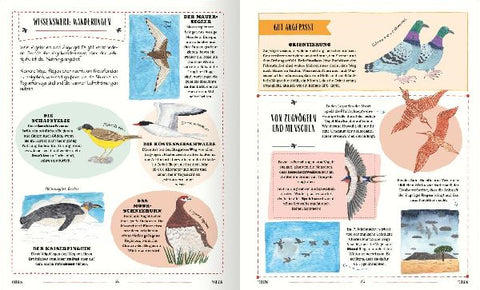 9783845861166 - Sample content