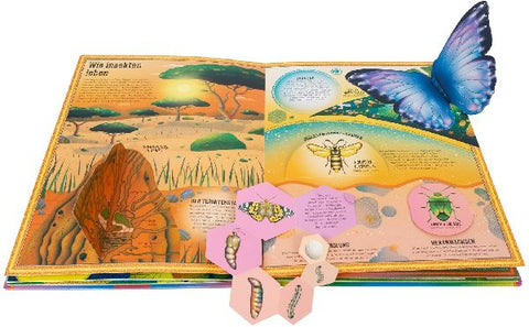 9783845861272 - Sample content