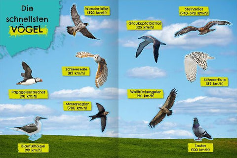 9783845862170 - Sample content