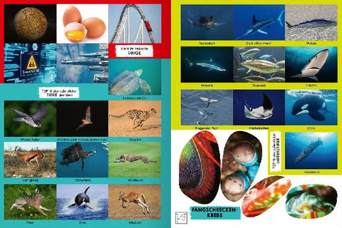 9783845862170 - Sample content