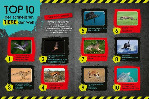 9783845862170 - Sample content