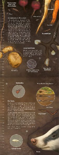 9783845862187 - Sample content