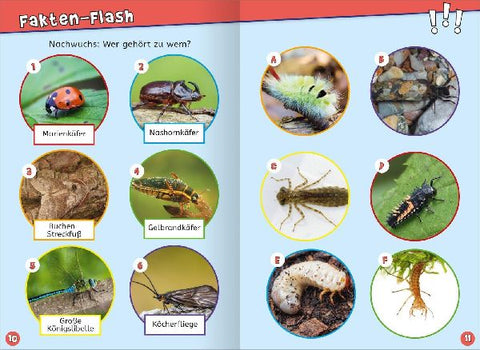 9783845865737 - Sample content