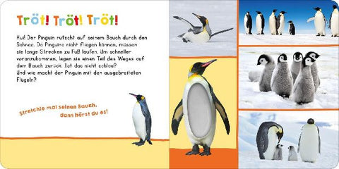 9783845865812 - Sample content