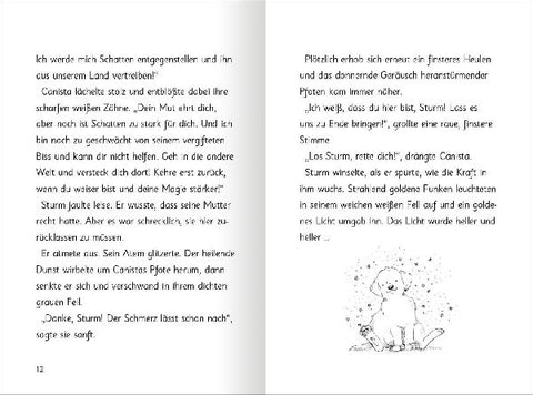 9783845866284 - Sample content