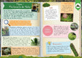 9783845868066 - Sample content