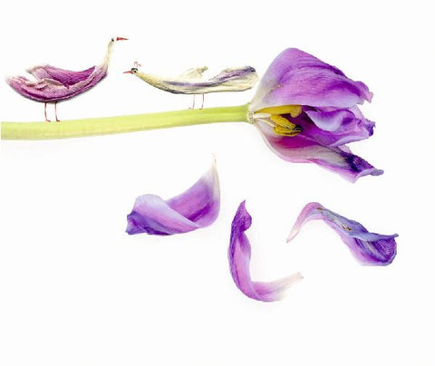 9783855814725 - Sample content