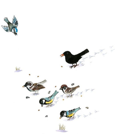 9783855815647 - Sample content