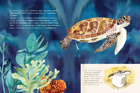 9783864296178 - Sample content