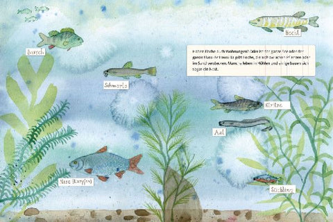 9783864296901 - Sample content