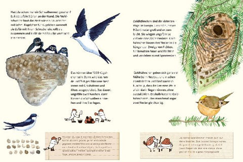 9783864296901 - Sample content