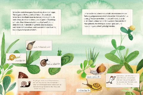 9783864296901 - Sample content