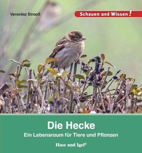 9783867607919 - Front cover