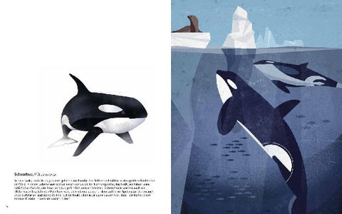 9783868738223 - Sample content