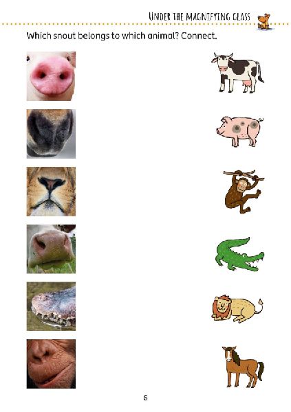 9783881007405 - Sample content