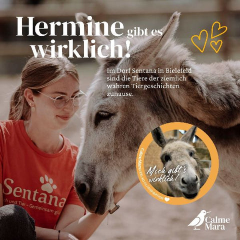 9783948877385 - Sample content