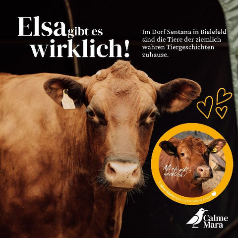 9783948877521 - Sample content