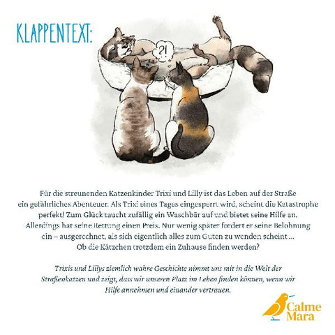 9783948877767 - Sample content