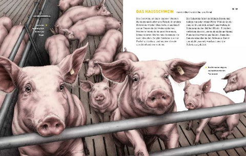 9783954702404 - Sample content